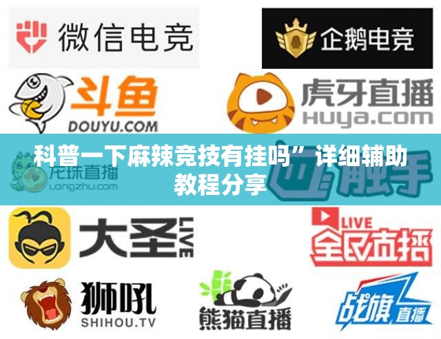 科普一下麻辣竞技有挂吗”详细辅助教程分享