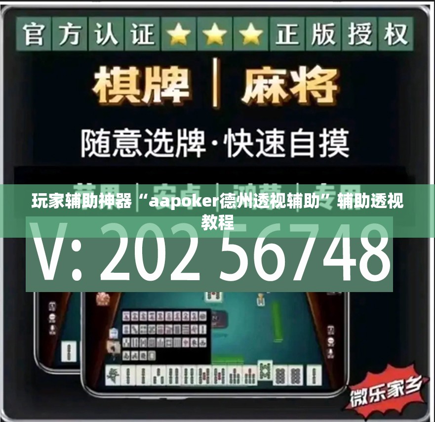 玩家辅助神器“aapoker德州透视辅助	”辅助透视教程