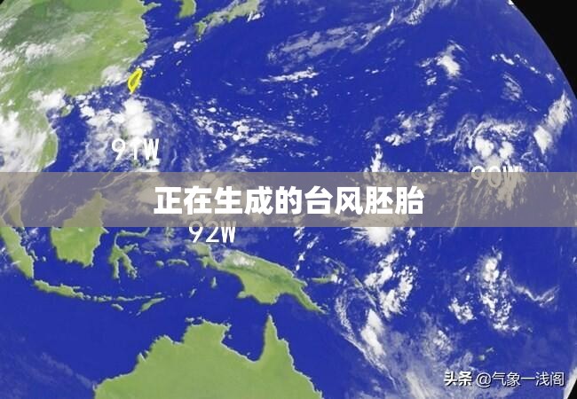 正在生成的台风胚胎