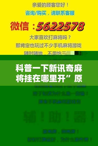 科普一下新讯奇麻将挂在哪里开	”原来有挂 难怪会一直输