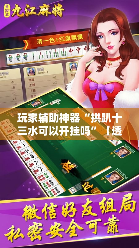 玩家辅助神器“拱趴十三水可以开挂吗”【透视软件教程分享】
