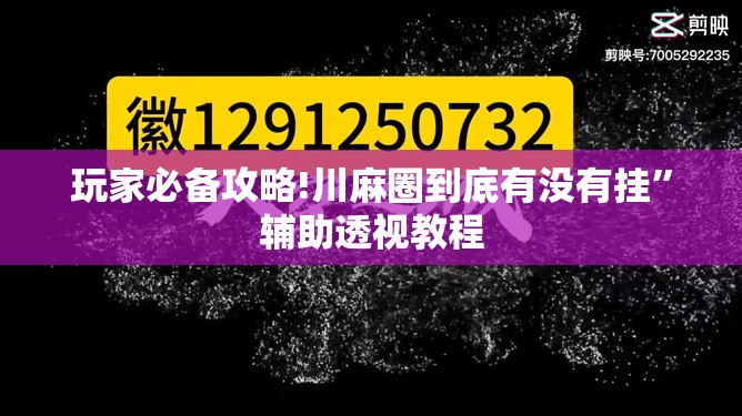 玩家必备攻略!川麻圈到底有没有挂”辅助透视教程