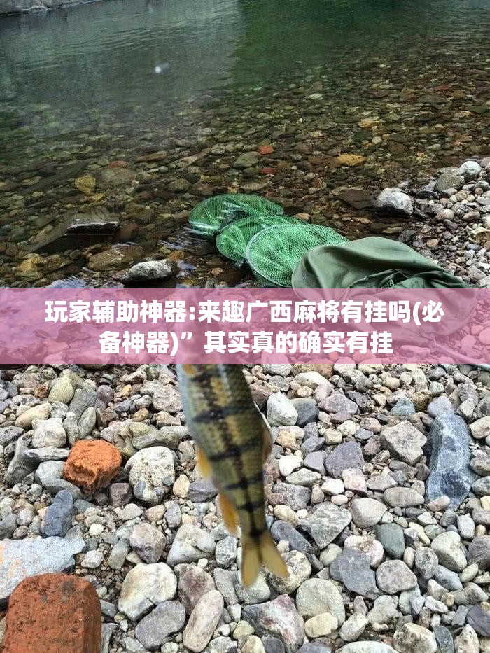 玩家辅助神器:来趣广西麻将有挂吗(必备神器)”其实真的确实有挂