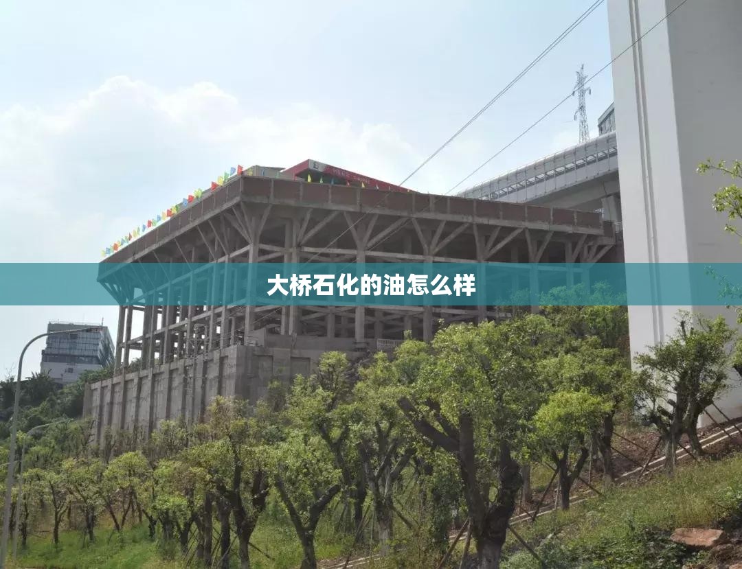 【大桥石化的油怎么样,大桥石化的油好吗】 【大桥石化的油怎么样,大桥石化的油好吗】