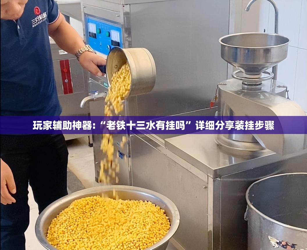 玩家辅助神器:“老铁十三水有挂吗”详细分享装挂步骤