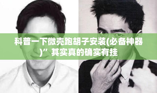 科普一下微壳跑胡子安装(必备神器)”其实真的确实有挂