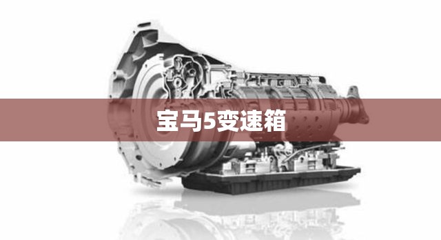 宝马5变速箱(宝马5变速箱油多长时间换一次比较好)