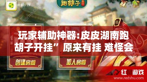 玩家辅助神器:皮皮湖南跑胡子开挂”原来有挂 难怪会一直输