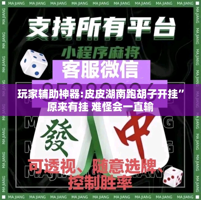 玩家辅助神器:皮皮湖南跑胡子开挂	”原来有挂 难怪会一直输