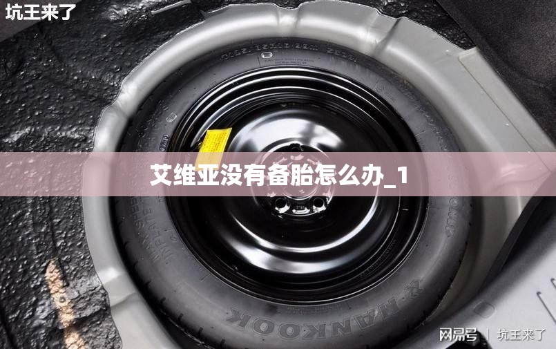 艾维亚没有备胎怎么办_1