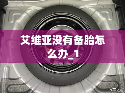 艾维亚没有备胎怎么办_1