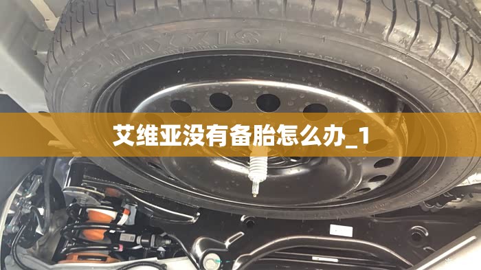 艾维亚没有备胎怎么办_1