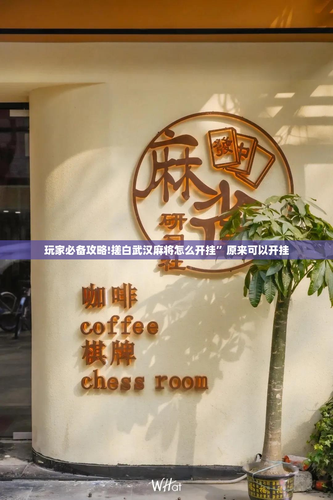玩家必备攻略!搓白武汉麻将怎么开挂	”原来可以开挂