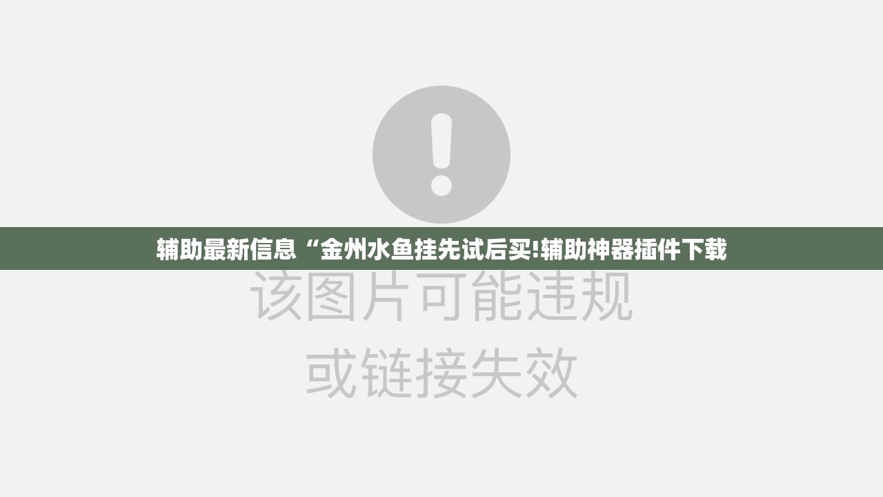 辅助最新信息“金州水鱼挂先试后买!辅助神器插件下载