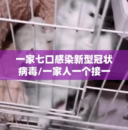 一家七口感染新型冠状病毒/一家人一个接一个感染肺结核 一家七口感染新型冠状病毒/一家人一个接一个感染肺结核