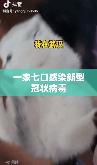 一家七口感染新型冠状病毒/一家人一个接一个感染肺结核 一家七口感染新型冠状病毒/一家人一个接一个感染肺结核