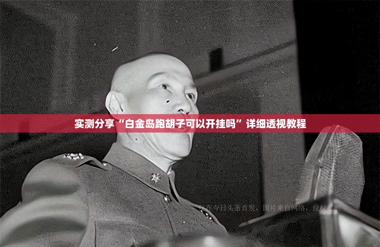 实测分享“白金岛跑胡子可以开挂吗”详细透视教程
