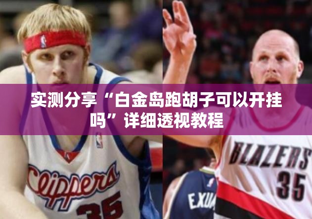 实测分享“白金岛跑胡子可以开挂吗”详细透视教程
