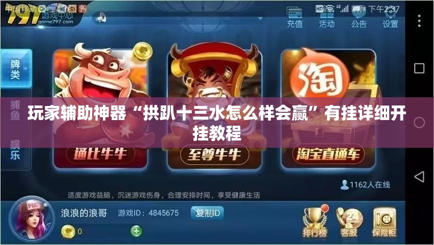 玩家辅助神器“拱趴十三水怎么样会赢”有挂详细开挂教程