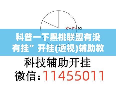 科普一下黑桃联盟有没有挂”开挂(透视)辅助教程