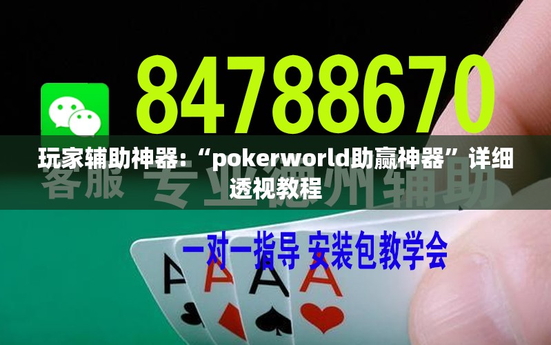 玩家辅助神器:“pokerworld助赢神器”详细透视教程