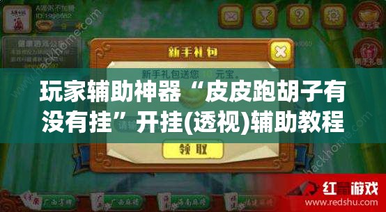 玩家辅助神器“皮皮跑胡子有没有挂	”开挂(透视)辅助教程