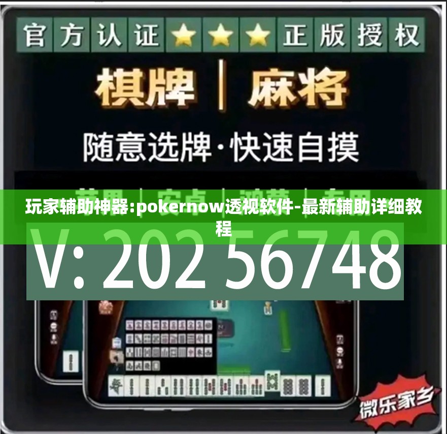 玩家辅助神器:pokernow透视软件-最新辅助详细教程