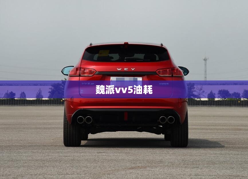 魏派vv5油耗 魏派vv5油耗