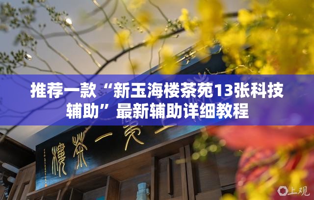 推荐一款“新玉海楼茶苑13张科技辅助”最新辅助详细教程