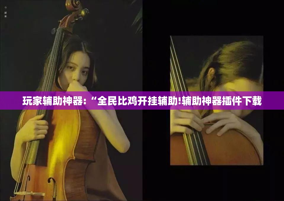 玩家辅助神器:“全民比鸡开挂辅助!辅助神器插件下载
