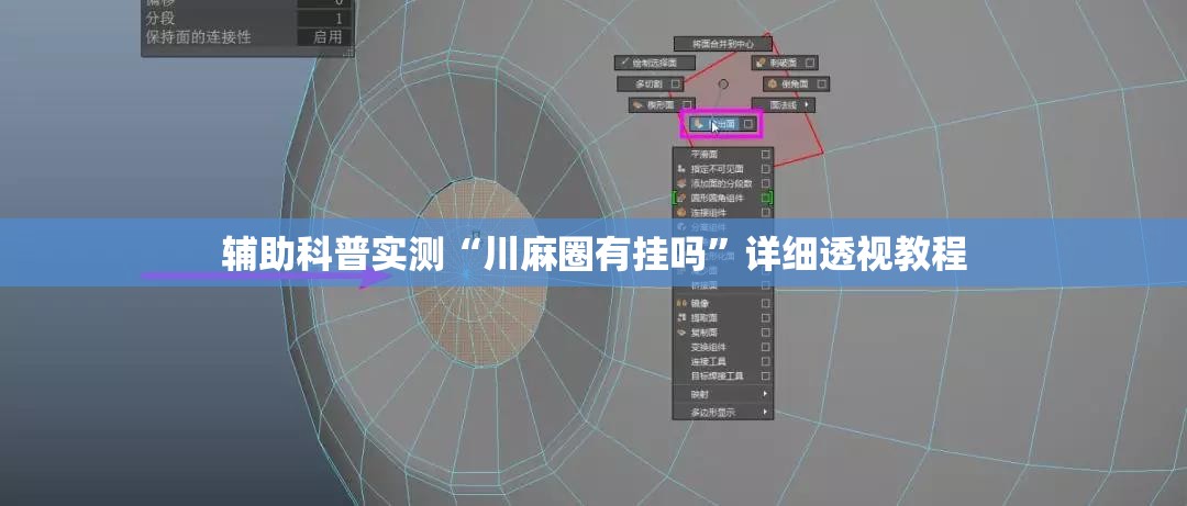 辅助科普实测“川麻圈有挂吗”详细透视教程