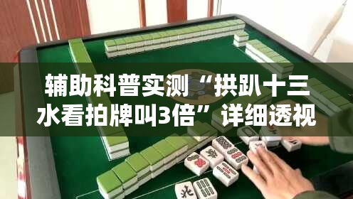 辅助科普实测“拱趴十三水看拍牌叫3倍”详细透视教程