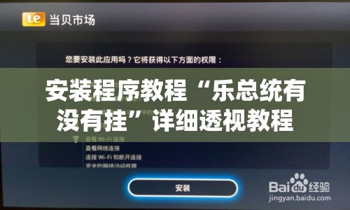 安装程序教程“乐总统有没有挂”详细透视教程