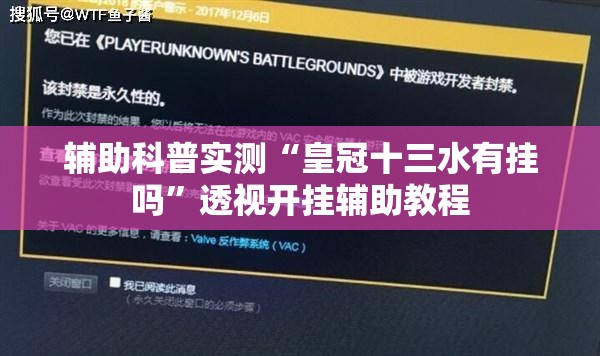 辅助科普实测“皇冠十三水有挂吗	”透视开挂辅助教程